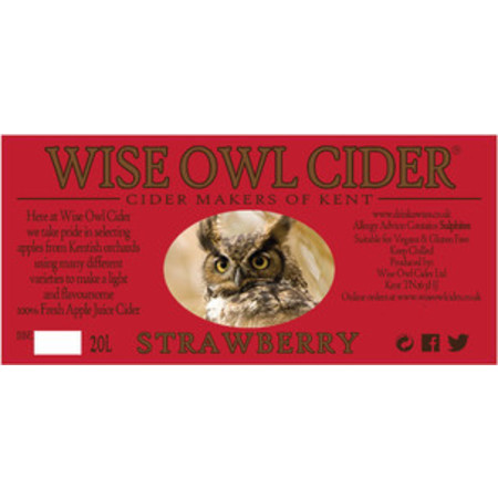 Wise Owl Cider Strawberry  – Buy Cider online on EeBriaTrade.com